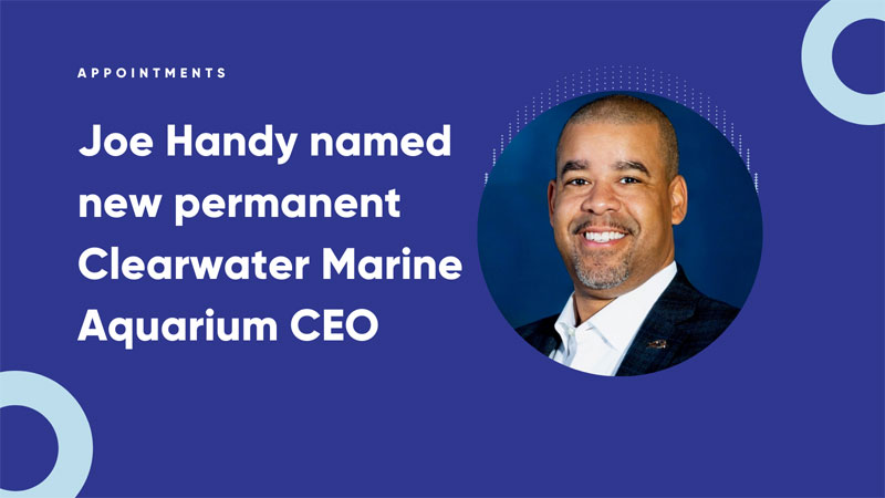 Joe Handy - Chief Executive Officer - Clearwater Marine Aquarium